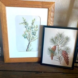 Evergreen winter prints in wood frames